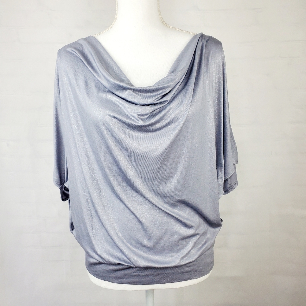Express silver lace back top
